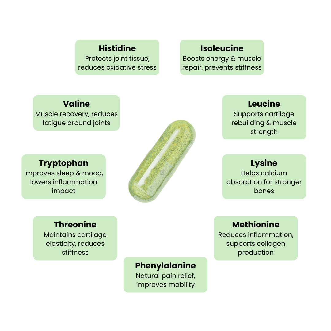 NueVida Arthritis Relief Moringa - Summer Sale