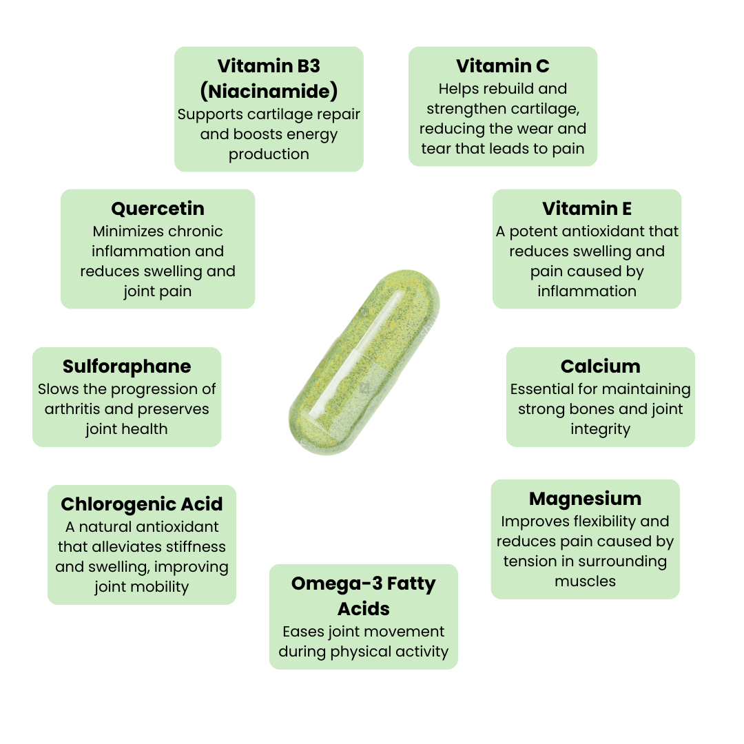 NueVida Moringa Capsules - upsell