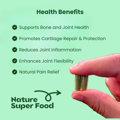 NueVida Moringa Capsules - Holiday Sale